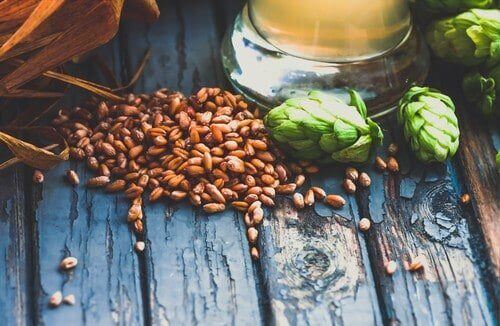 malted barley and hops