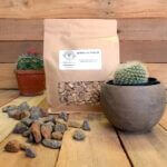 Oak Wood Chips