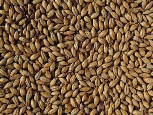 Clear Choice Ale Malt
