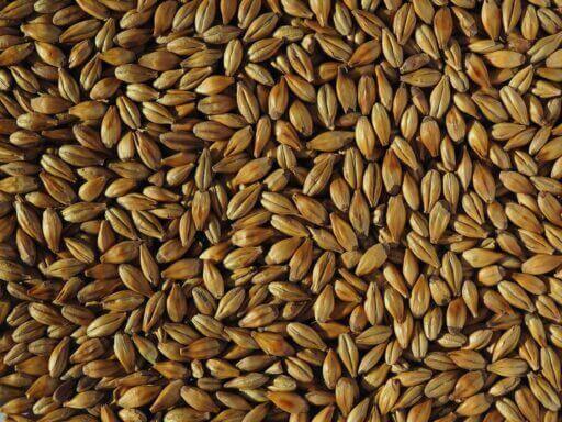 Light Munich Malt