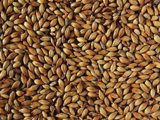 Medium Crystal Malt 240