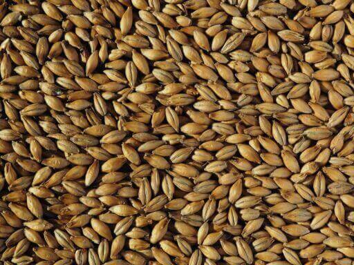 Best Ale Malt