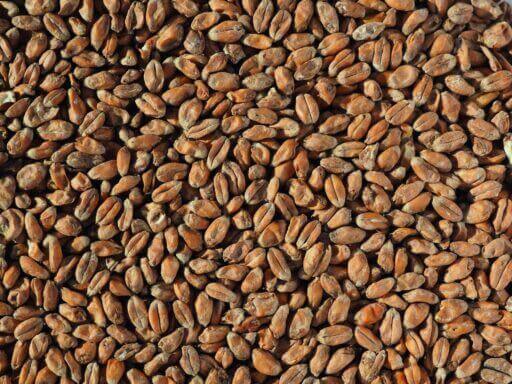 Wheat Malt Wheat Malt