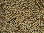 Chevallier Heritage Malt