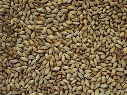 Chevallier Heritage Malt