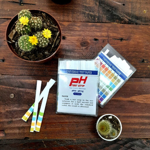 pH Strips pH Test Strip