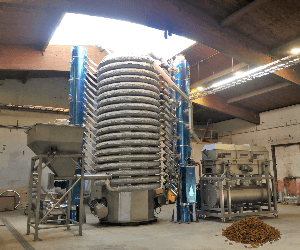Coloured Malts