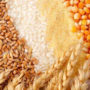 Non Malted Cereals