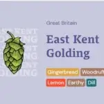 East Kent Goldings Hops - 50g
