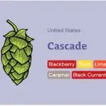 USA Cascade - 50g