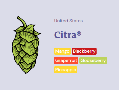 Citra www.cactuscraft.co.za~13932