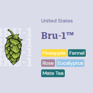 Bru-1