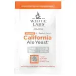 WLP001 California Ale